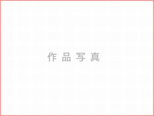 作品写真イメージ